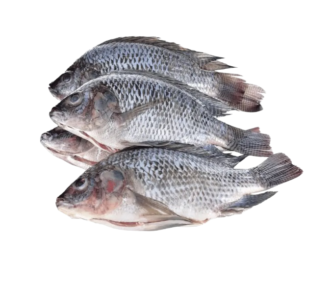 Ocean Classic Skinless & Boneless Tilapia Fillets (1kg Pack)