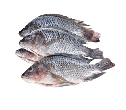 Ocean Classic Skinless & Boneless Tilapia Fillets (1kg Pack)